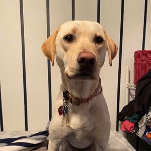 Meet your Posher, Daria